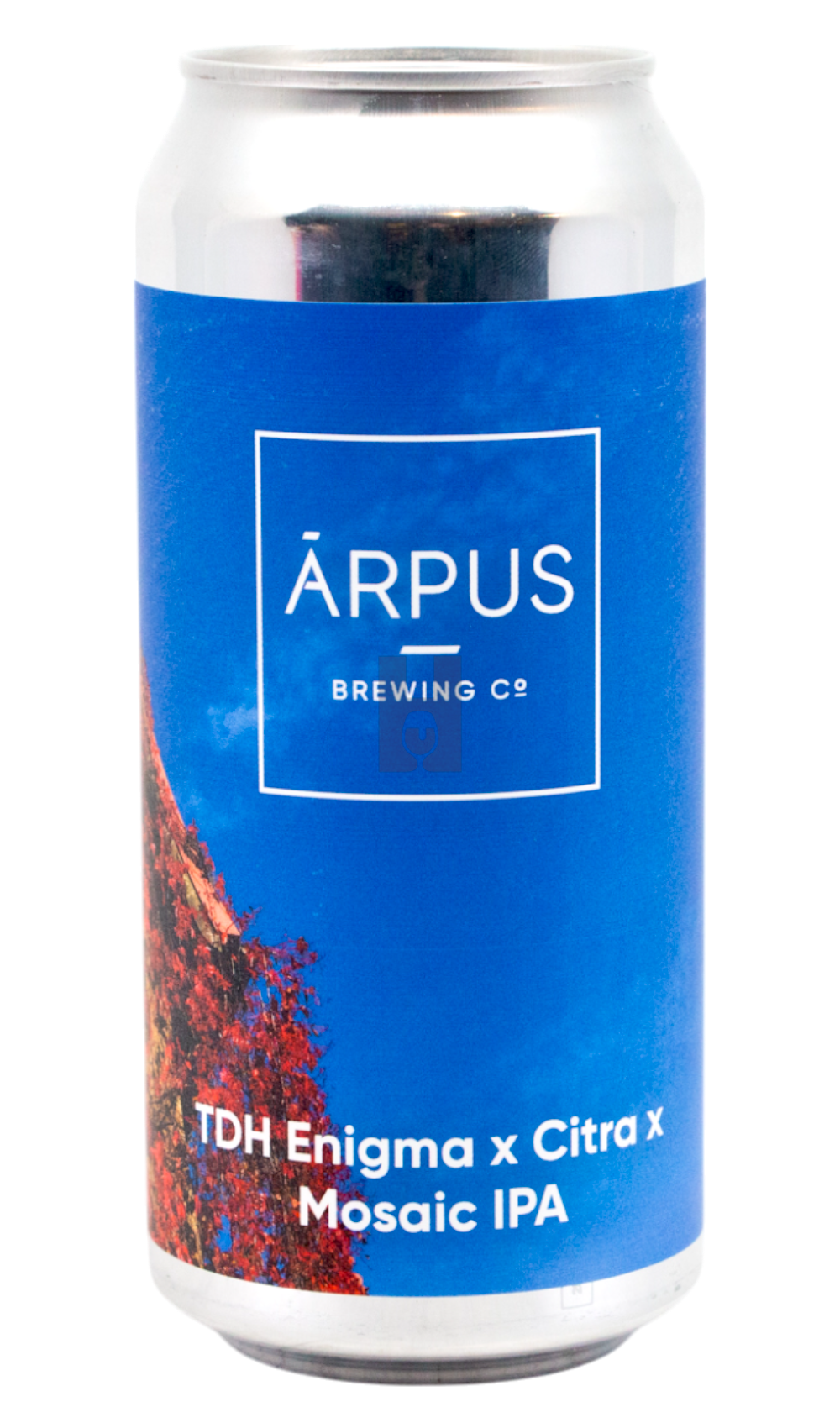 Arpus TDH Enigma X Citra X Mosaic IPA - Hoptimaal