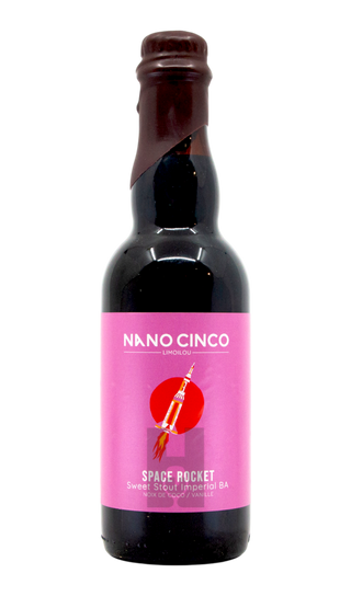 Nano Cinco Space Rocket