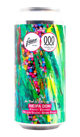 Fauve Au Pied De L'Arc-en-Ciel