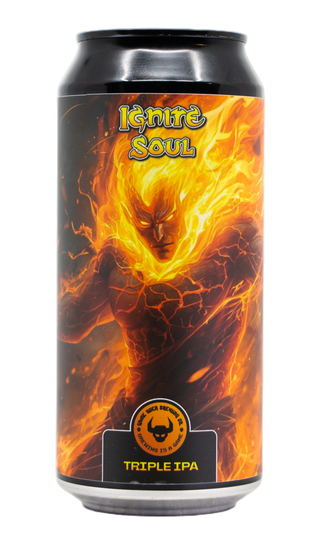Game Over Ignite Soul