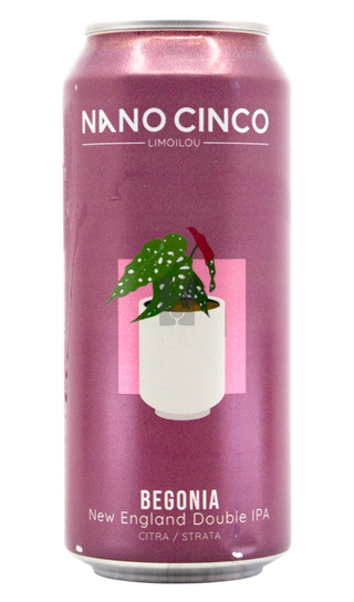 Nano Cinco Bégonia