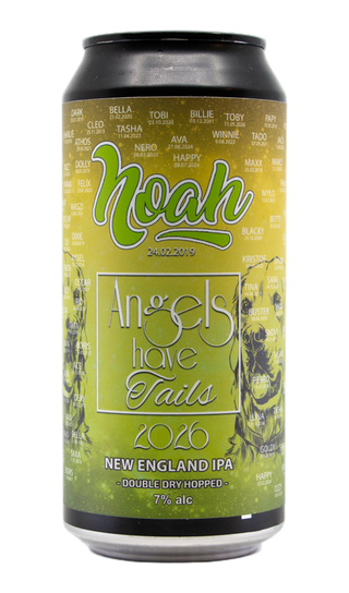 Bere Noah ANGELS HAVE TAILS 2026