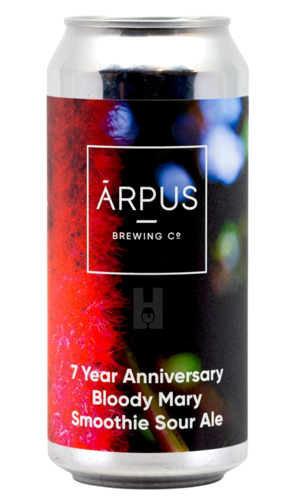 Arpus 7 Year Anniversary Bloody Mary Smoothie Sour Ale - Hoptimaal