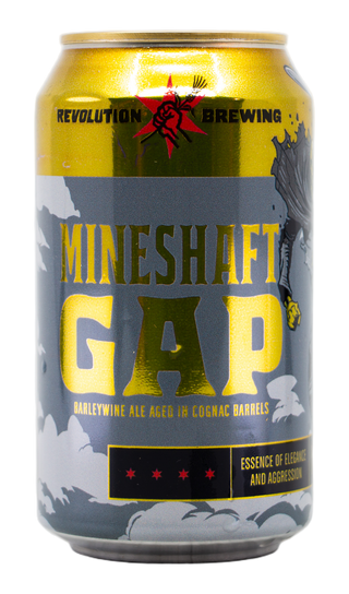 Revolution Mineshaft Gap (2026)