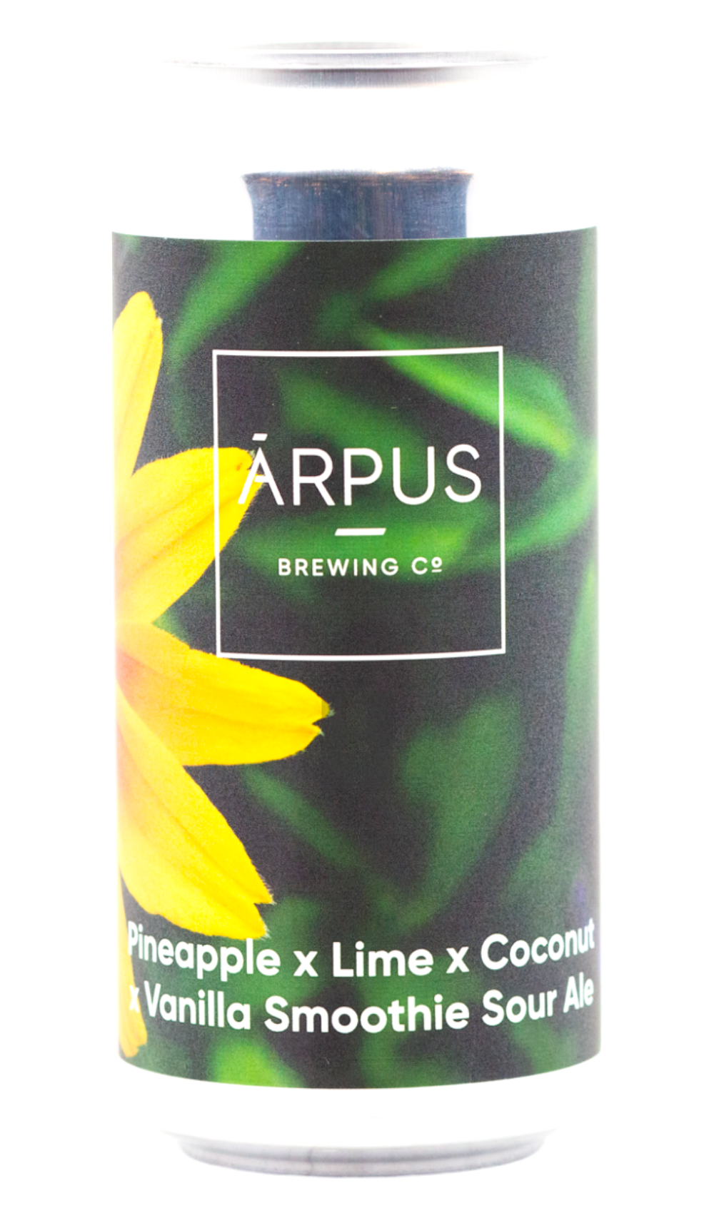 Arpus Pineapple X Lime X Coconut X Vanilla Smoothie Sour Ale - Hoptimaal