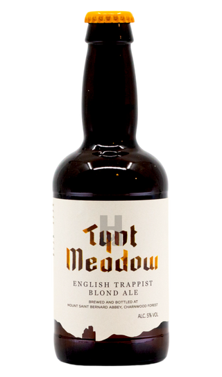 Tynt Meadow Blond