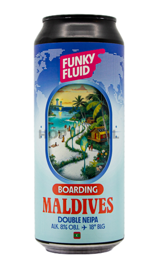 Funky Fluid Boarding: Maldives