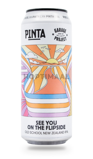 PINTA See You On the Flipside