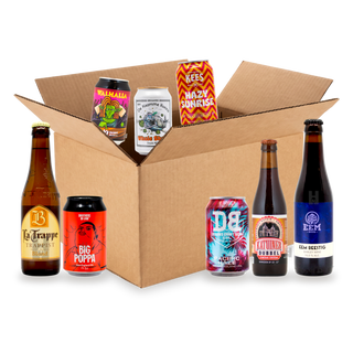 Nederlands craft bierpakket: doos met de bieren uit de box
