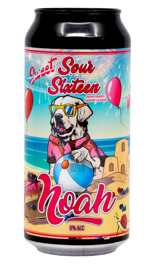 Bere Noah Sour Sixteen